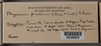 Image Associated With the Occurence